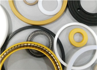 Sealing Gasket  